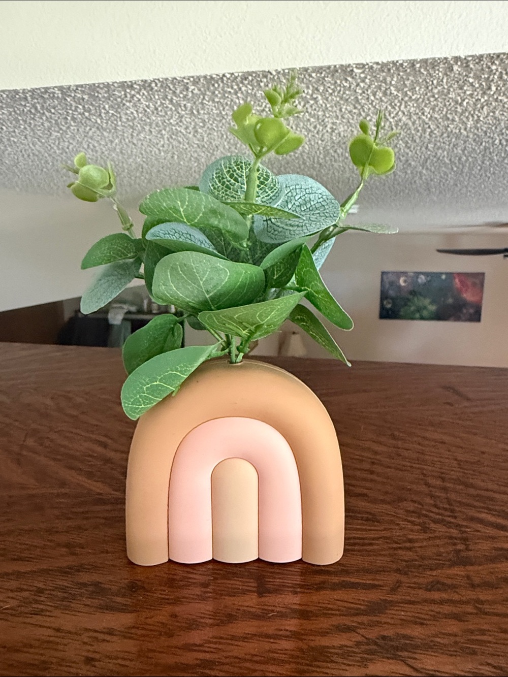 Bath & Body Works Pink and Tan Rainbow Arch Planter Vase